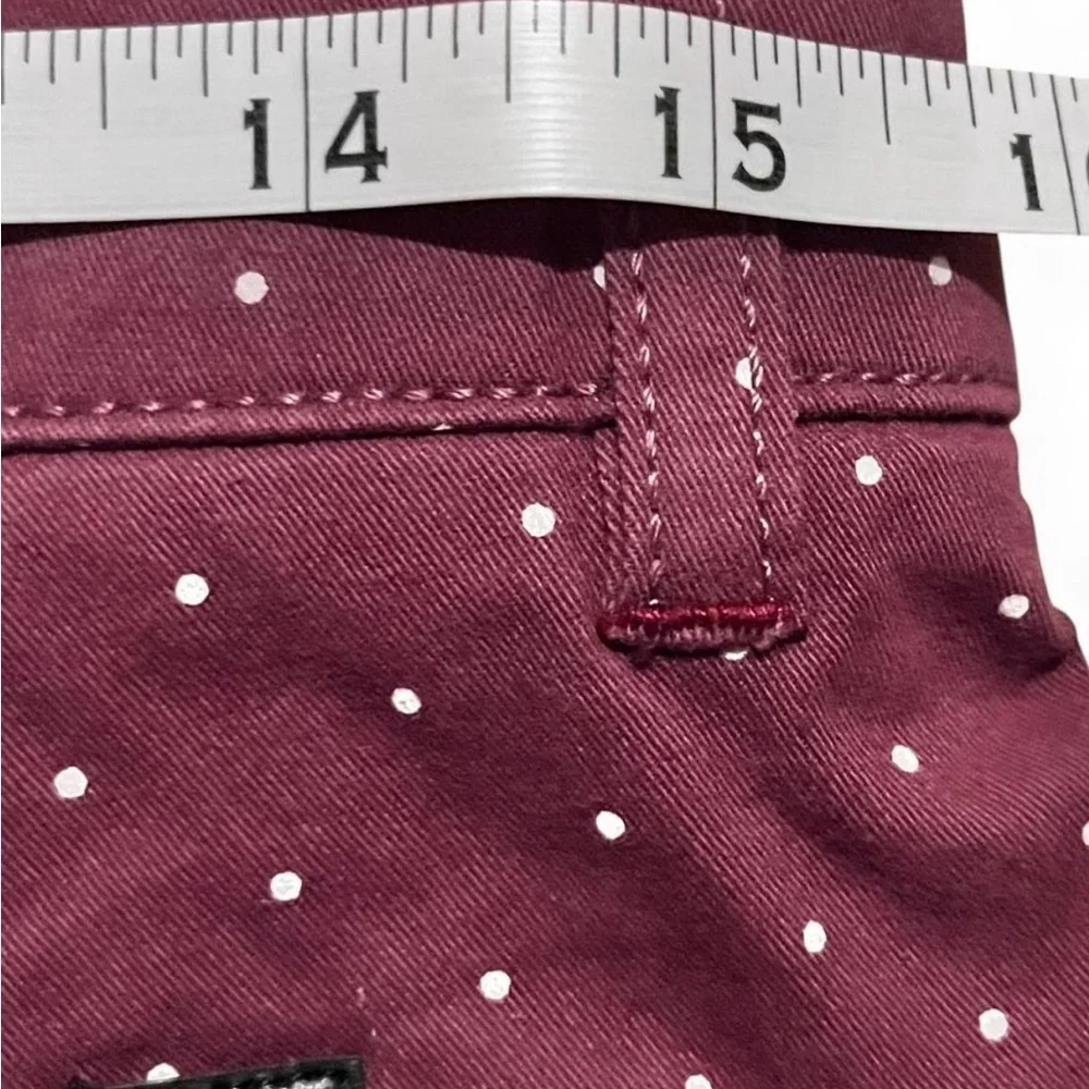 Cactus Men’s Maroon Polka Dot Shorts Size 30 – Casual Preppy Printed Shorts